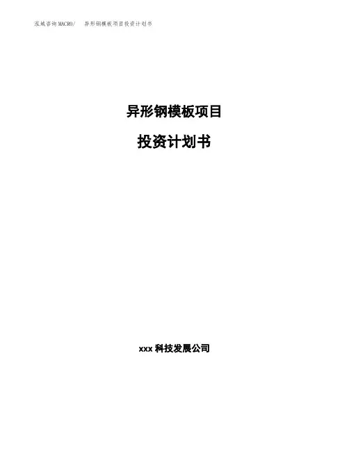 异形钢模板项目投资计划书