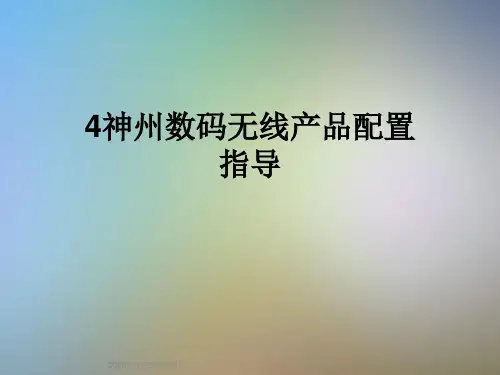 4神州数码无线产品配置指导