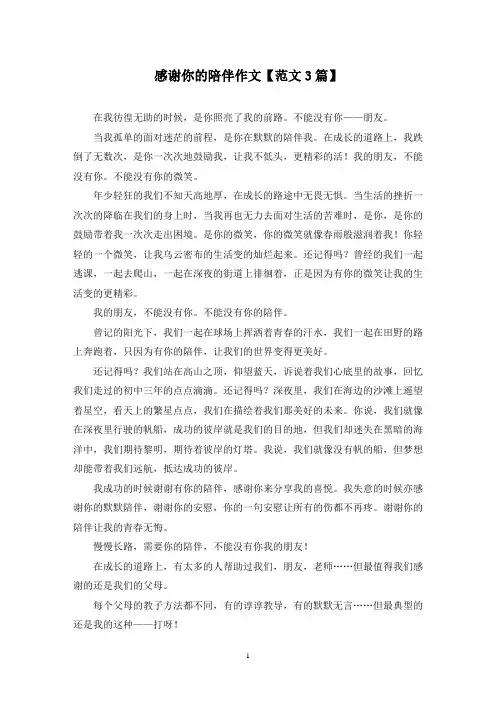 精选感谢你的陪伴作文【范文3篇】