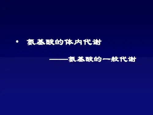 氨基酸的体内代谢-一般代谢