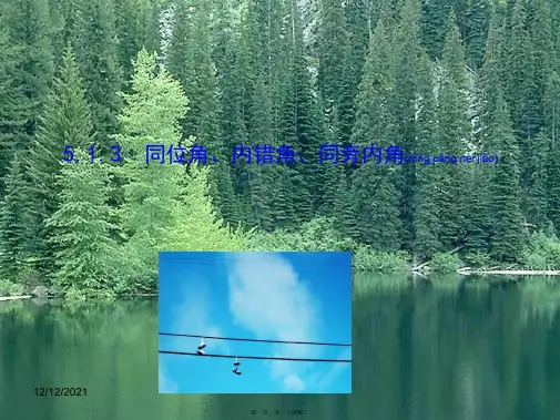 七年级数学下册 第五章 相交线与平行线 5.1 相交线 5.1.3 同位角、内错角、同旁内角课件2