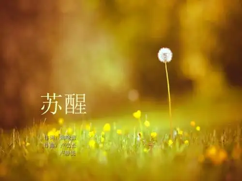 苏醒