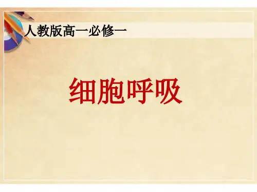 高中生物：《ATP的主要来源—细胞呼吸》优质课件