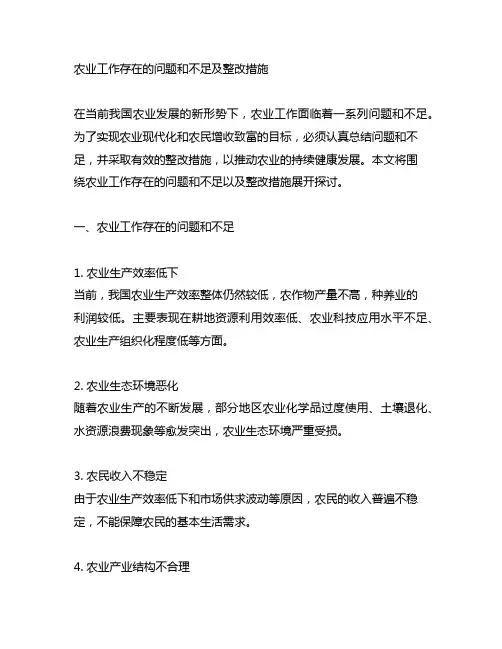 农业工作存在的问题和不足及整改措施