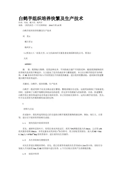 白鹤芋组织培养快繁及生产技术