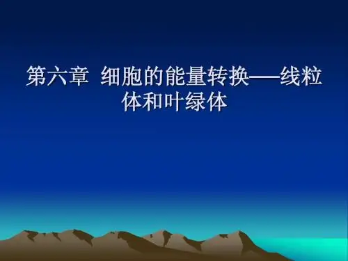 第六章线粒体与叶绿体