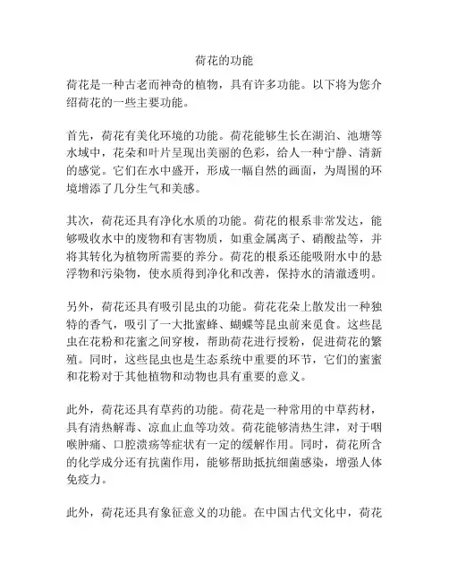 荷花的功能
