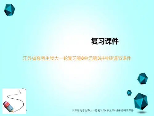 江苏省高考生物大一轮复习第8单元第3讲神经调节课件