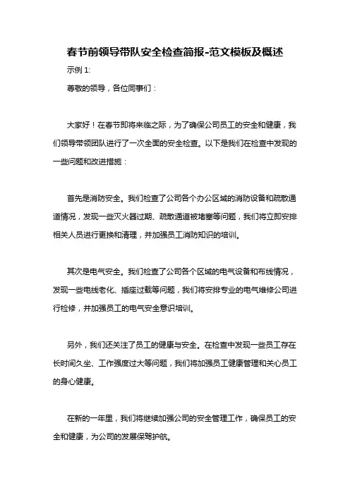 春节前领导带队安全检查简报-概述说明以及解释