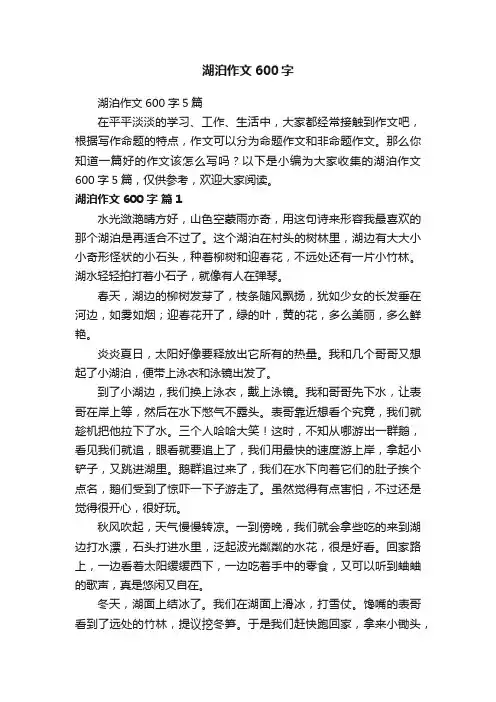 湖泊作文600字5篇