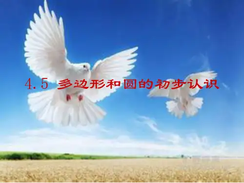 北师大版七年级上册数学多边形和圆的初步认识课件