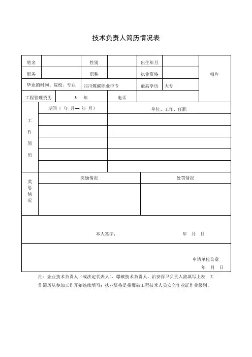 技术负责人简历情况表