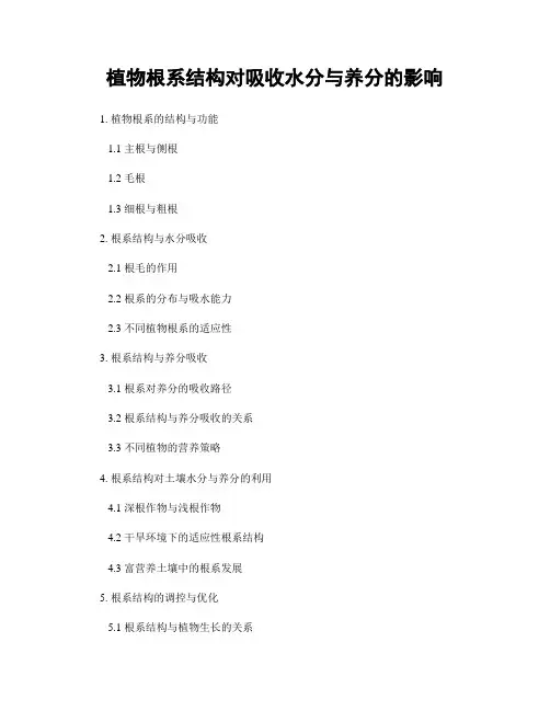 植物根系结构对吸收水分与养分的影响