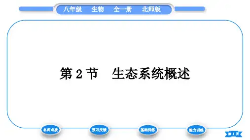 北师大版八年级生物下第8单元生物与环境第23章生态系统及其稳定性第2节生态系统概述习题课件