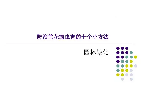 防治兰花病虫害的十个小方法