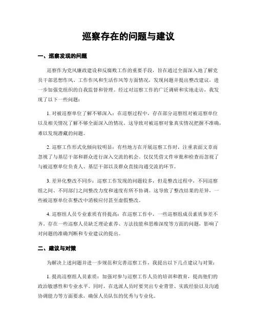 巡察存在的问题与建议