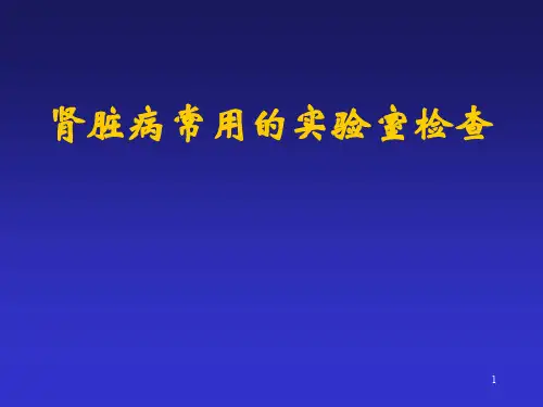 肾内科讲稿ppt课件