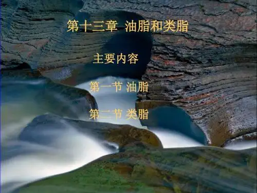 第13章油脂和类脂