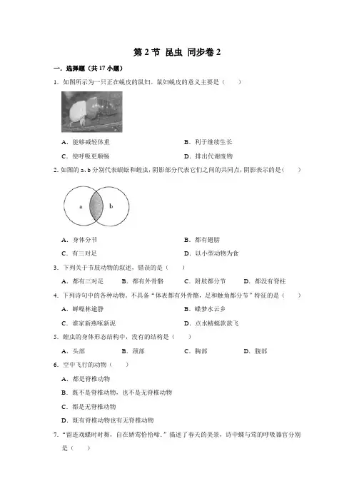 苏教版生物七年级下册 昆虫