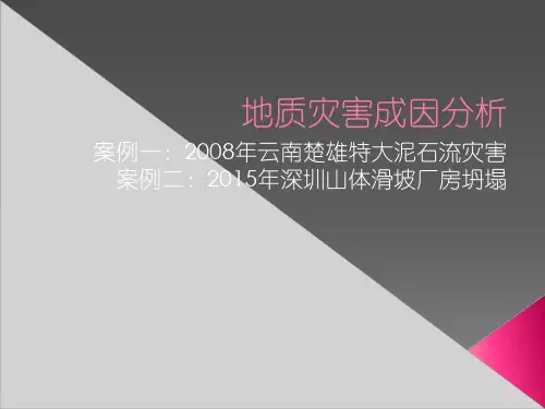 滑坡,泥石流案例分析