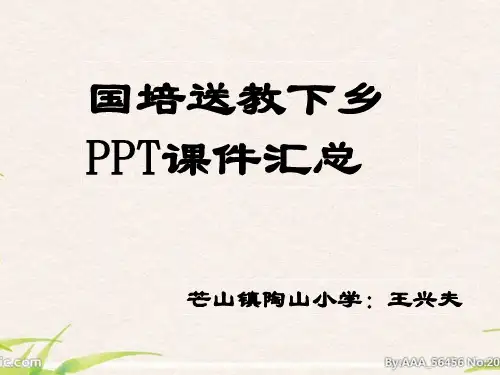 王兴夫国培送教下乡PPT课件汇总