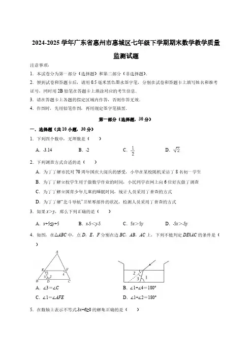 2024-2025学年广东省惠州市惠城区七年级下学期期末数学教学质量监测试题(含答案)