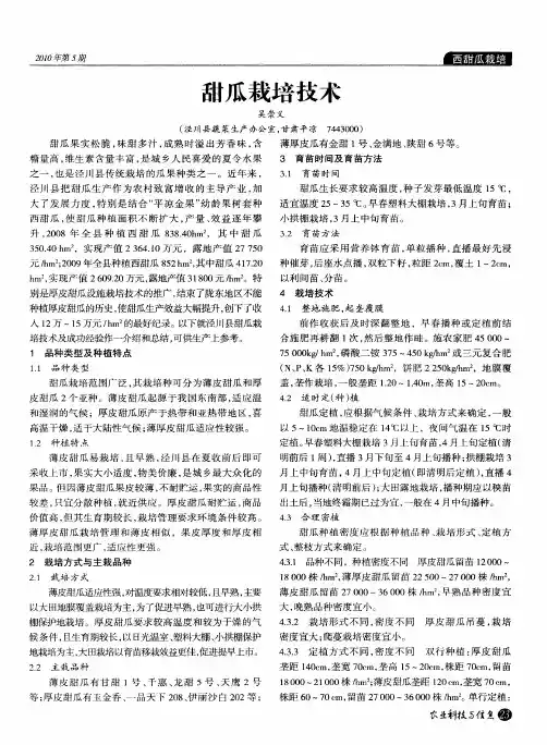 甜瓜栽培技术