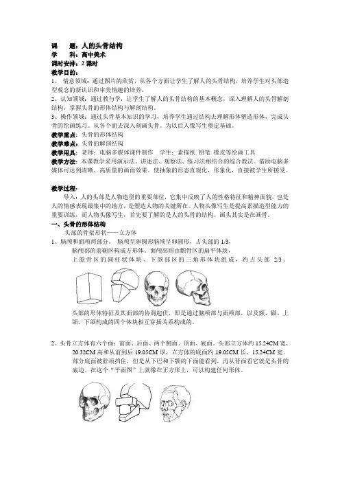 人的头部结构--头骨