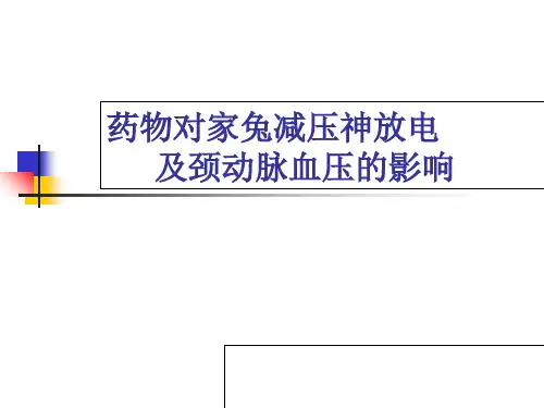 药物对家兔减压神放电及颈动脉血压的影响课件