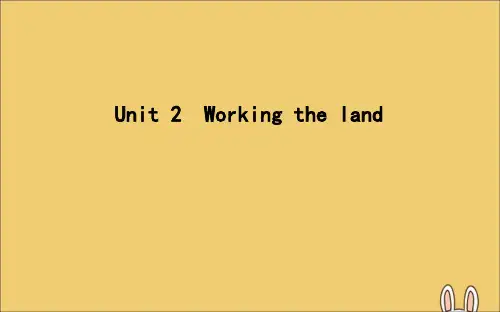 高中英语高考2020高考英语一轮复习Unit2Workingtheland课件新人教版必修