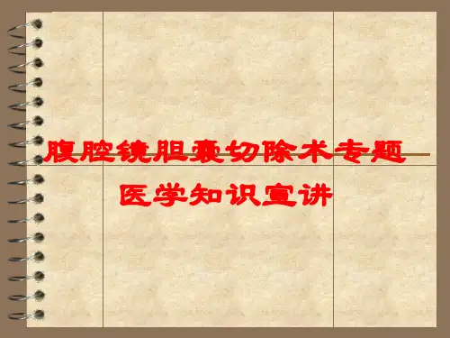 腹腔镜胆囊切除术专题医学知识宣讲培训课件