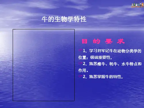 牛的生物学特性课件