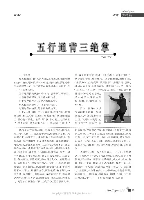 五行通背三绝掌_