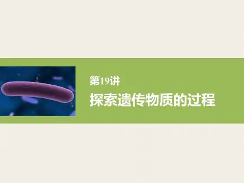 高三生物一轮复习讲义第六单元：传的分子基础ppt