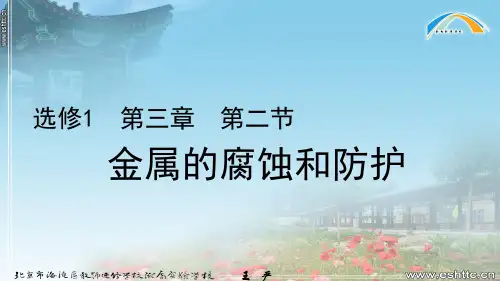 人教版高二化学选修一课件3.2 金属的腐蚀和防护 (共12张PPT)