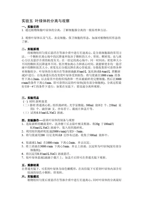 [训练]实验五_叶绿体的分离与观察