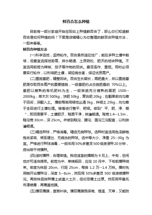 鲜百合怎么种植