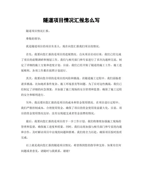 隧道项目情况汇报怎么写