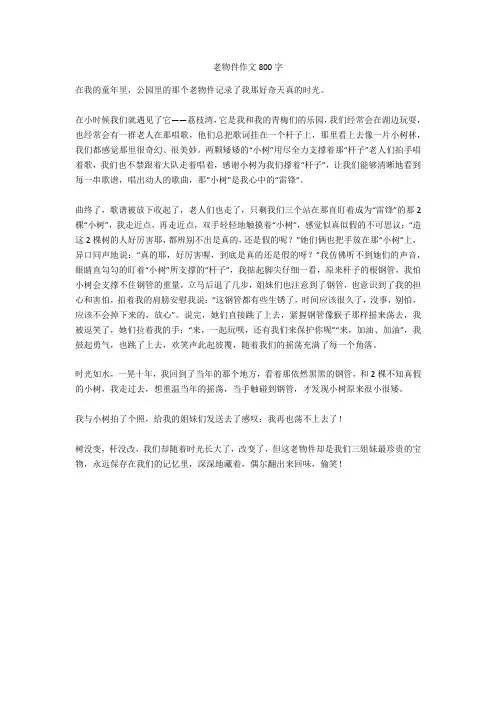 老物件作文800字(精华作文)