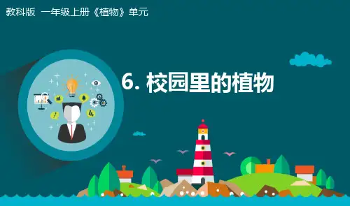 《校园里的植物》小学科学一年级上册PPT课件