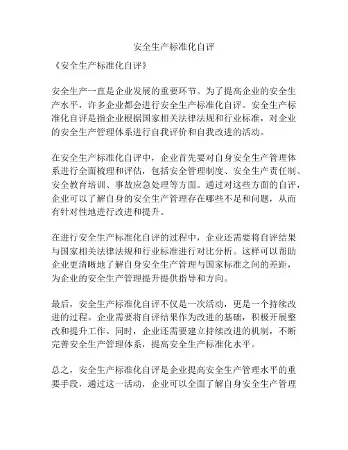 安全生产标准化自评