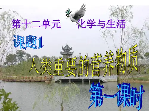 人类重要的营养物质