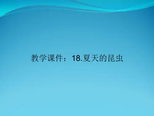 教学课件：18.夏天的昆虫