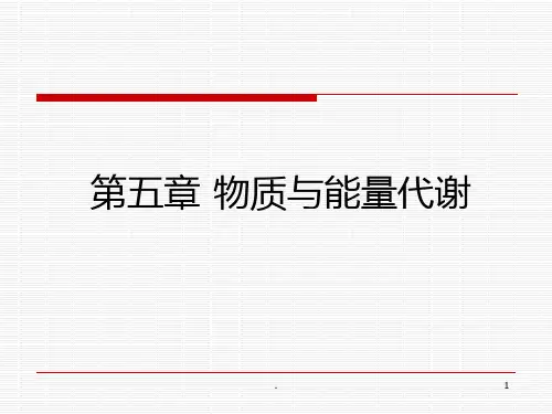 运动生理学---第五章-物质与能量代谢PPT课件