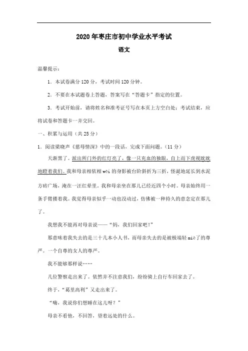 山东省枣庄市2020年中考语文试题(word版,含答案)