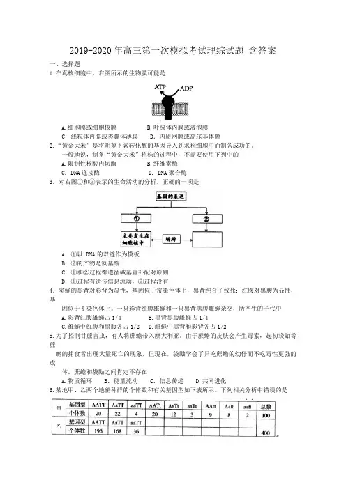 2019-2020年高三第一次模拟考试理综试题 含答案