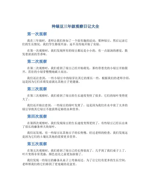 种绿豆三年级观察日记大全