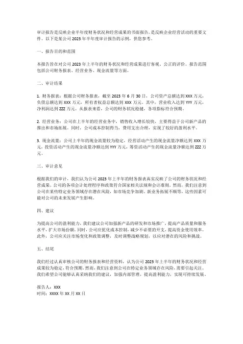 2023年半年审计报告