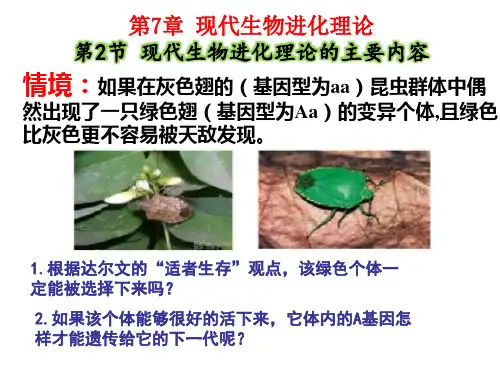 2.7.2 现代生物进化理论的主要内容(精品课件)