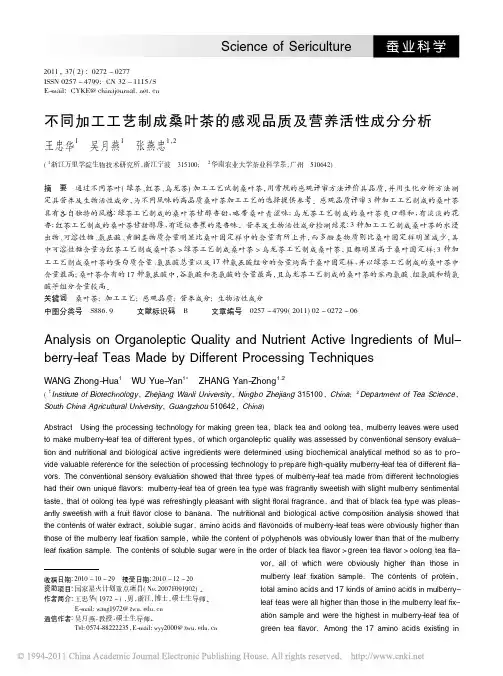 不同加工工艺制成桑叶茶的感观品质及营养活性成分分析
